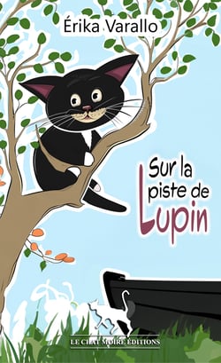 Sur la piste de Lupin