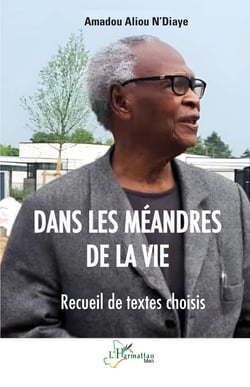 Dans les méandres de la vie - Recueil de textes choisis