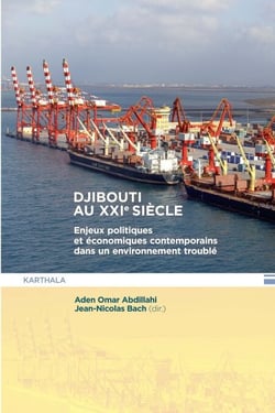 Djibouti au XXIème siècle - Enjeux politiques et économiques contemporains dans un environnement troublé