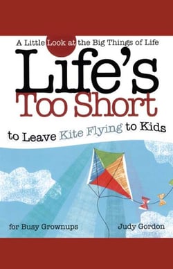 Life's too Short to Leave Kite Flying to Kids - A Little Look at the Big Things in Life
