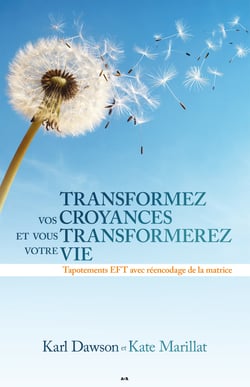 Transformez vos croyances et vous transformerez votre vie - Tapotements EFT avec réencodage de la matrice