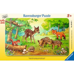 15P PETITS ANIMAUX DE LA FORET