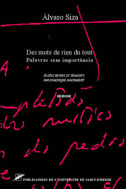 Des mots de rien du tout