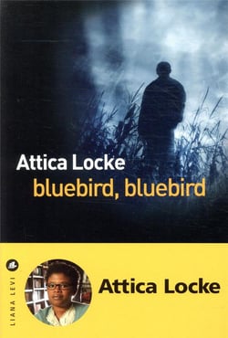 Bluebird, bluebird