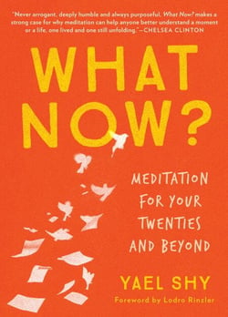 What Now? - Meditation for Your Twenties and Beyond