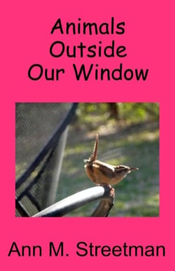 Animals Outside Our Window