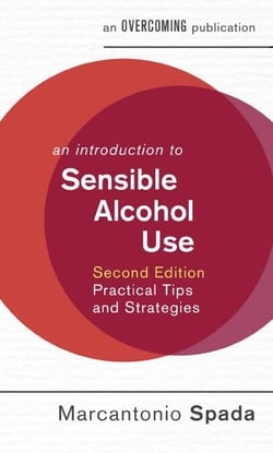 An Introduction to Sensible Alcohol Use, 2nd Edition - Practical Tips and Strategies