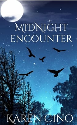 Midnight Encounter