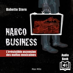 Narco Business - L'irrésistible ascension des mafias mexicaines
