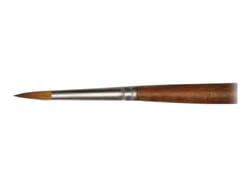 Pinceau brosse Précision 8900 Raphaël - n°6