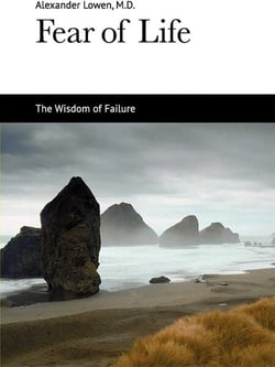 Fear of Life - The Wisdom of Failure