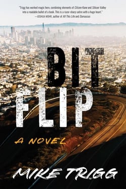 Bit Flip - A Novel