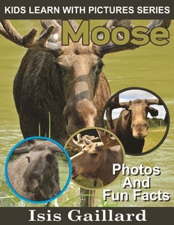 Moose Photos and Fun Facts for Kids - Kids Learn With Pictures, #58