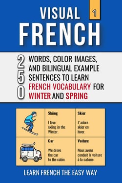 Visual French 1 - Winter and Spring - 250 Words, 250 Images, and 250 Examples Sentences to Learn French the Easy Way - Visual French, #1
