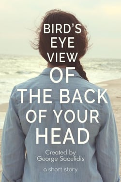Bird’s-Eye View of the Back of Your Head - The God Complex Universe