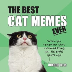 The Best Cat Memes Ever - The Funniest Relatable Memes as Told by Cats