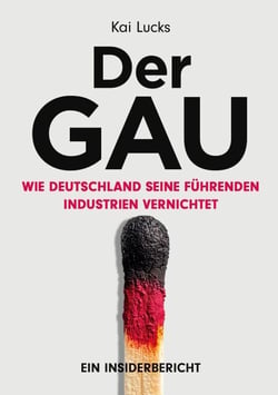Der GAU- wie Deutschland seine führenden Industrien vernichtet - Wirtschaftsgeschichte aus der Sicht eines Insiders