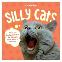 Silly Cats - A Ridiculous Collection of the World's Goofiest Cats and Most Relatable Memes