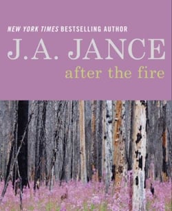 After the Fire - A Memoir in Poetry and Prose