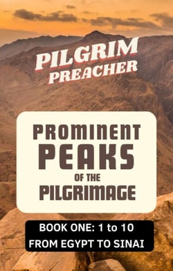 Prominent Peaks of the Pilgrimage 1 - Prominent Peaks of the Pilgrimage, #1