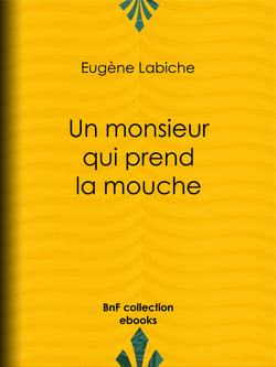 Un monsieur qui prend la mouche