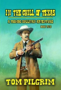 In The Chill Of Texas - Toombs Sullivan, #2