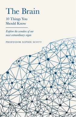 The Brain - 10 Things You Should Know