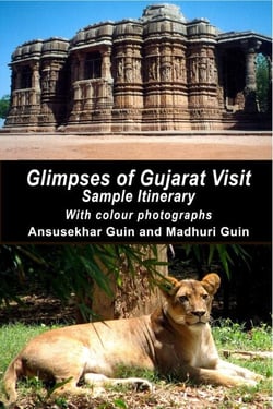 Glimpses of Gujarat Visit: Sample Itinerary - Pictorial Travelogue, #3