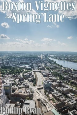 Boston Vignettes - Spring Lane