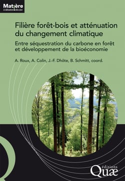 Filière forêt-bois et atténuation du changement climatique - Entre séquestration du carbone en forêt et développement de la bioéconomie