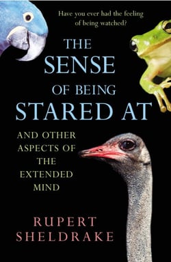 The Sense Of Being Stared At - And Other Aspects of the Extended Mind