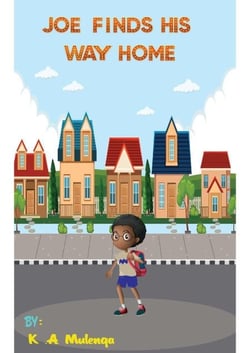 Joe Finds His Way Home