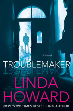 Troublemaker - A Novel