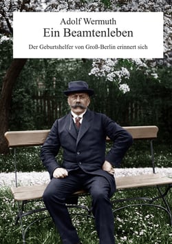 Ein Beamtenleben - Der Geburtshelfer von Groß-Berlin erinnert sich