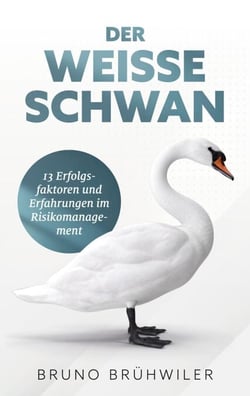 Der Weiße Schwan - 13 Erfolgsfaktoren und Erfahrungen im Risikomanagement