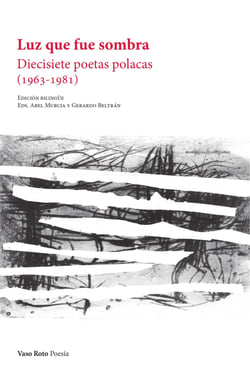 Luz que fue sombra - Diecisiete poetas polacas (1963-1981)