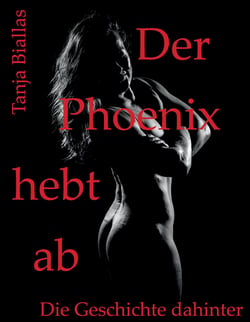 Der Phoenix hebt ab - Die Geschichte dahinter