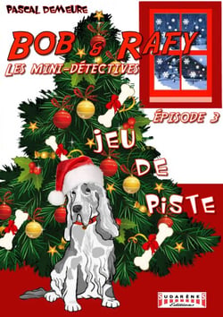 Bob et Rafy, les mini-détectives - Tome 3 - Jeu de piste
