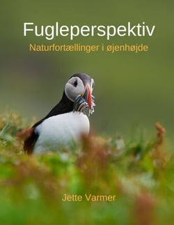 Fugleperspektiv - Naturfortællinger i øjenhøjde