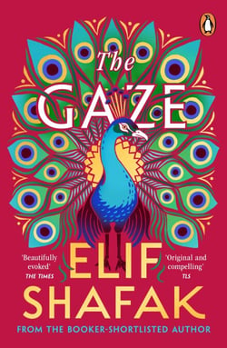 The Gaze - The daringly funny historical novel from the bestselling author of There Are Rivers in the Sky