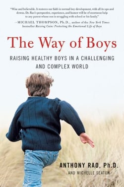 The Way of Boys - Promoting the Social and Emotional Development of Young Boys