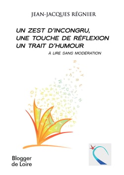 Un zest d'incongru, une touche de réflexion, un trait d'humour - A lire sans modération
