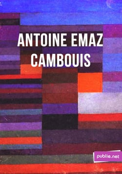 Cambouis - "c'est mon travail, strictement, c'est-à-dire ce qui a pu passer de vivre en mots"