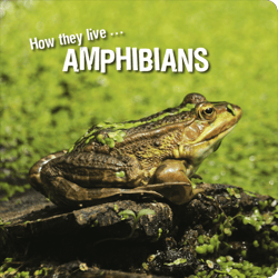 How they live... Amphibians - Learn All There Is to Know About These Animals!
