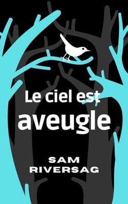 Le ciel est aveugle