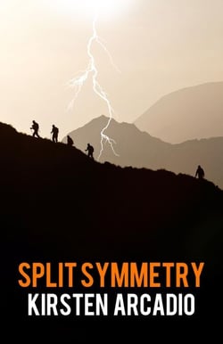 Split Symmetry