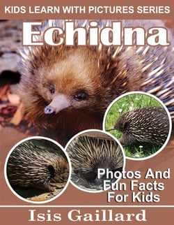 Echidna Photos and Fun Facts for Kids - Kids Learn With Pictures, #99