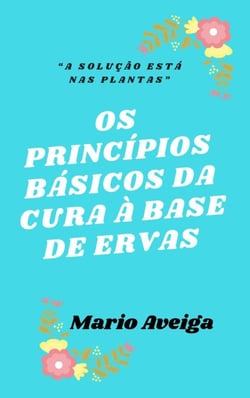 Os princípios básicos da cura à base de ervas &amp; “A solução está nas plantas”