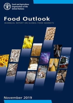 Food Outlook - Biannual Report on Global Food Markets: November 2019