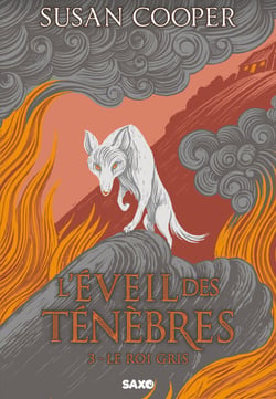 L'Éveil des Ténèbres - Tome 03 Le Roi Gris (e-book)